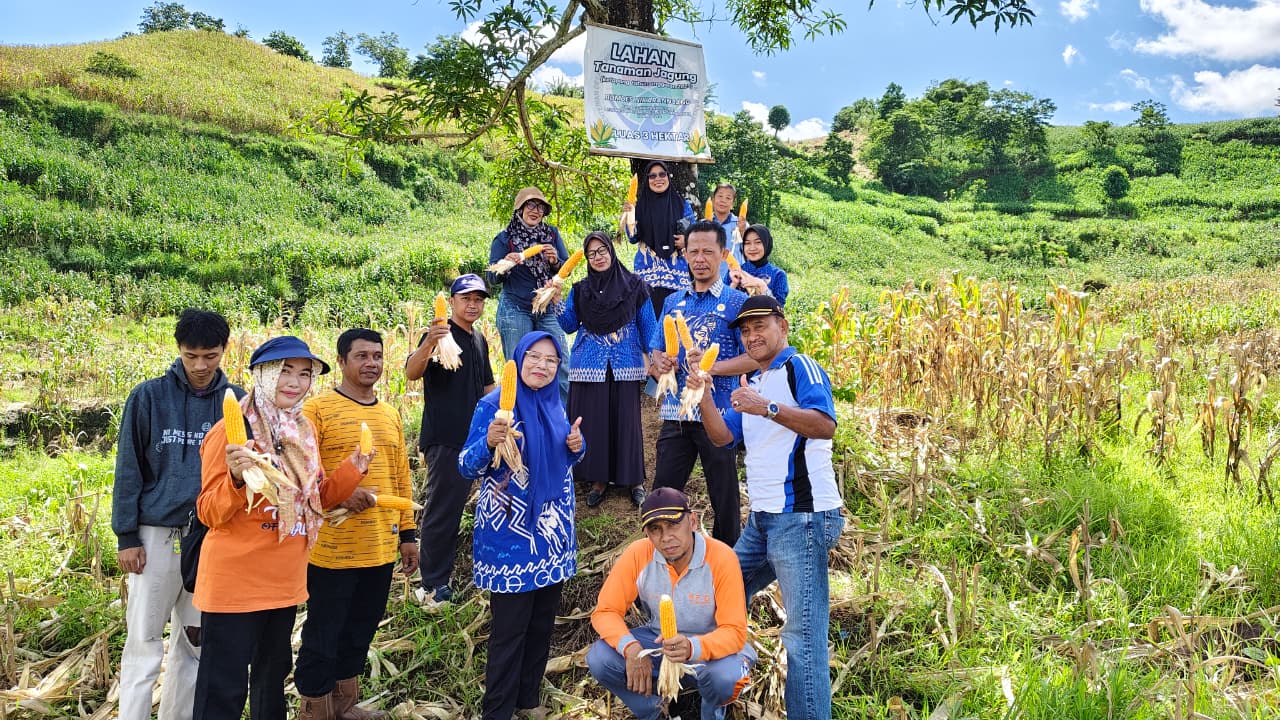 Jagung Desa Nirannuang Tumbuh Subur, Pemdes Lakukan Monev Ketahanan Pangan