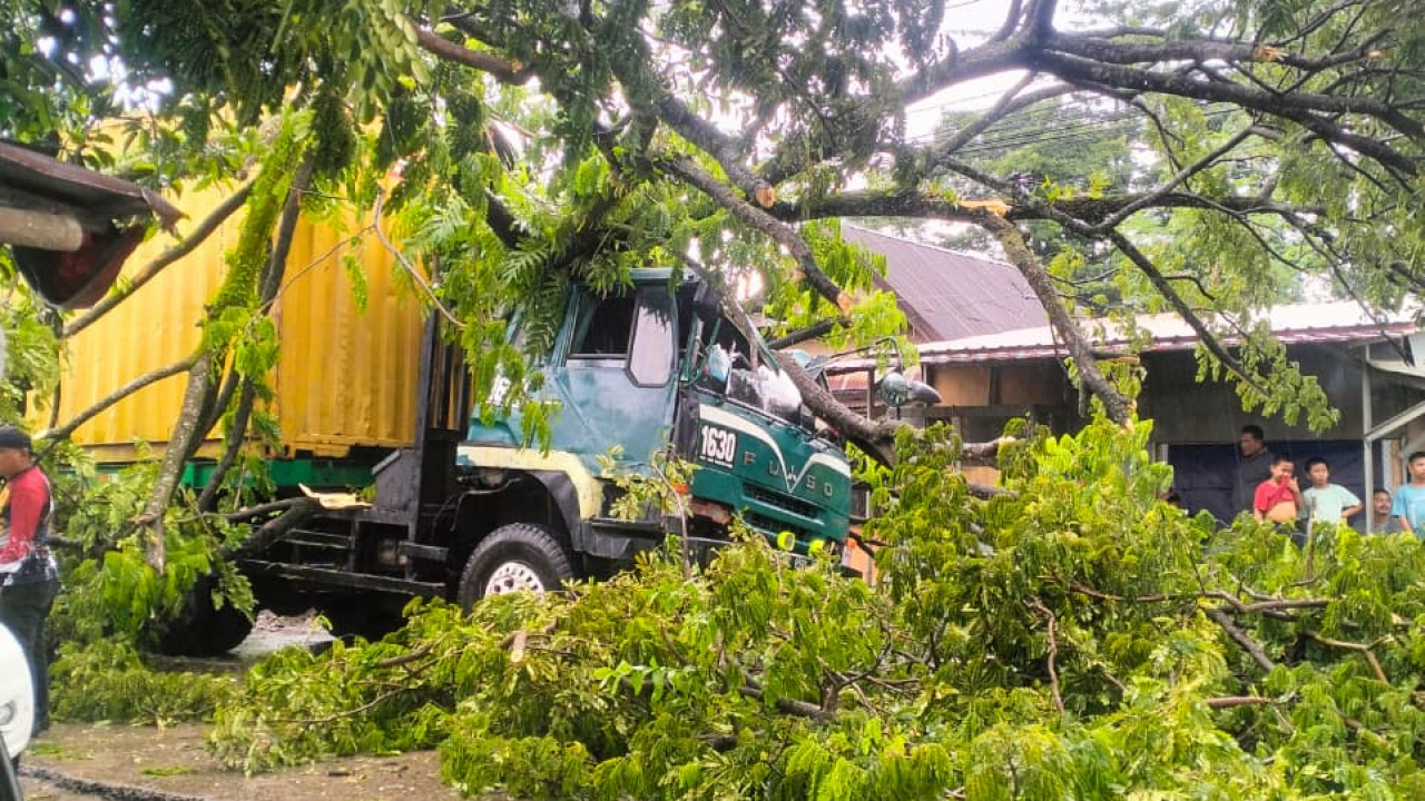 Hujan Deras Mengakibatkan Pohon Tumbang Timpa Truk Kontainer di Desa Nirannuang